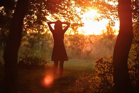 Voice in the Wilderness